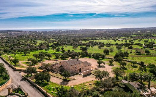 Finca Son Galta